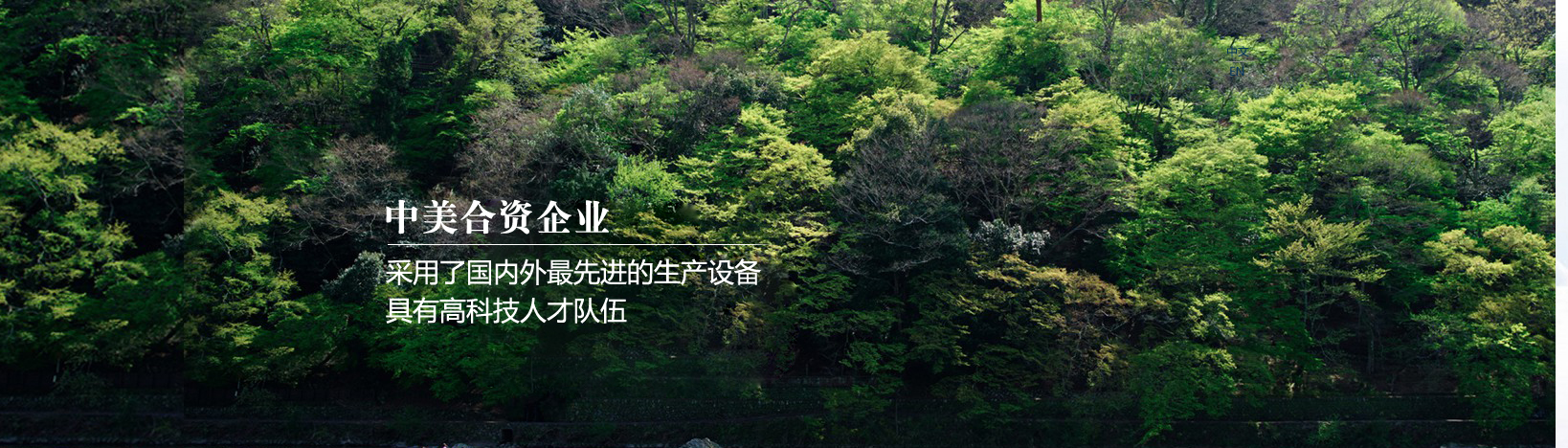 廣告標題